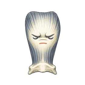 鼻根肌