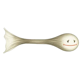 笑肌